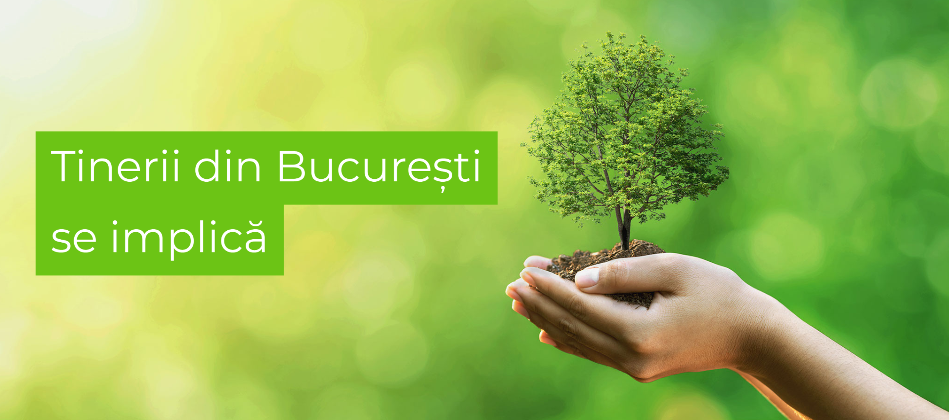 bucharest youth card plus