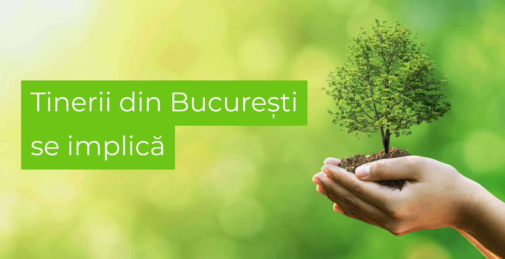 byc plus planteaza copaci