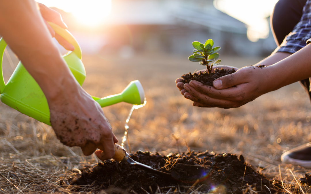 A little less conversation, a little more action!